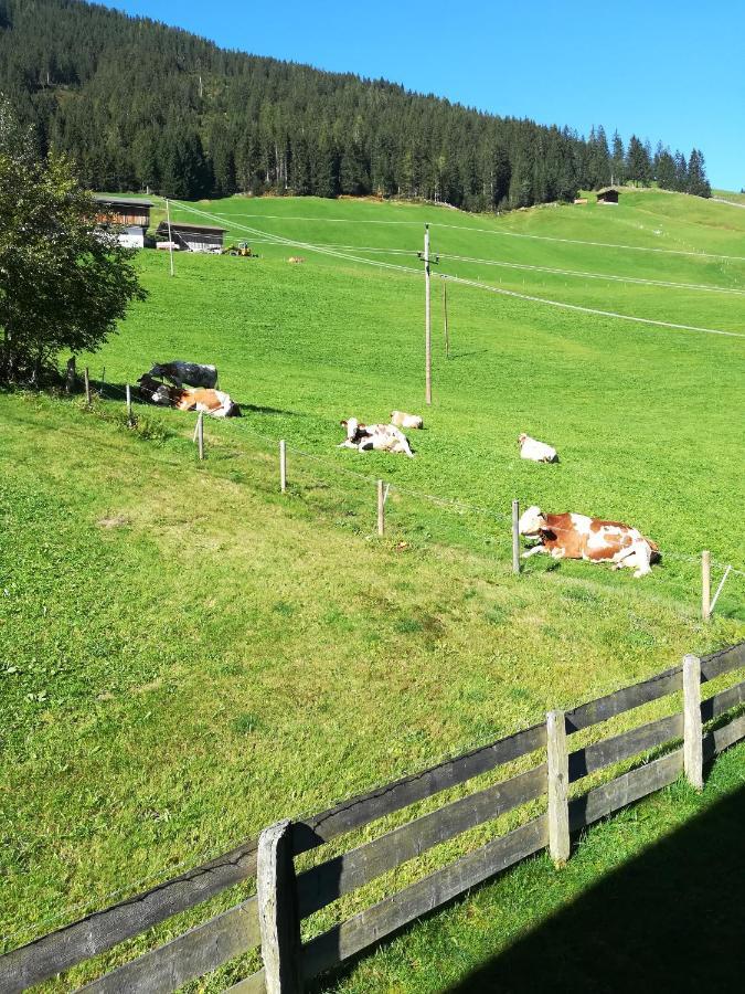 Hacklstoana Alpbach Exterior foto